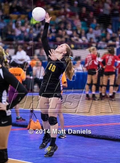 Thumbnail 2 in Fleming vs. Prairie (CHSAA 1A Playoff) photogallery.