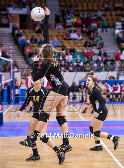 Thumbnail 2 in Fleming vs. Prairie (CHSAA 1A Playoff) photogallery.