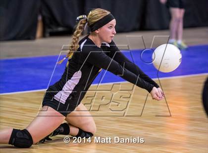 Thumbnail 1 in Fleming vs. Prairie (CHSAA 1A Playoff) photogallery.