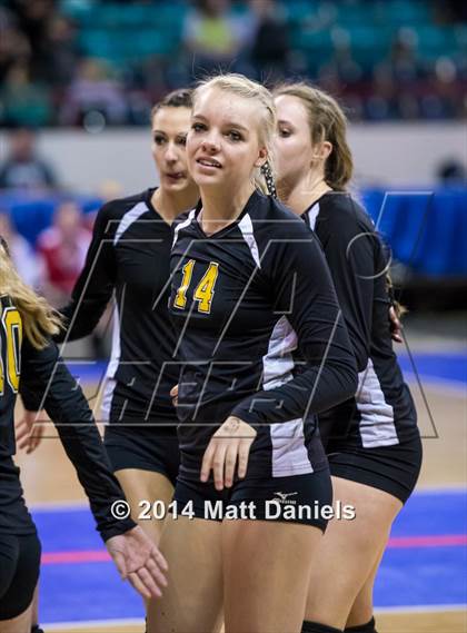 Thumbnail 1 in Fleming vs. Prairie (CHSAA 1A Playoff) photogallery.