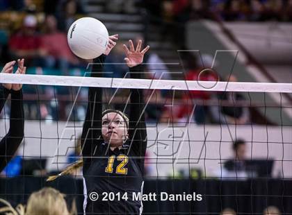 Thumbnail 3 in Fleming vs. Prairie (CHSAA 1A Playoff) photogallery.