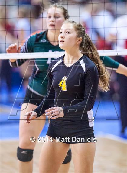 Thumbnail 2 in Fleming vs. Prairie (CHSAA 1A Playoff) photogallery.