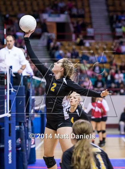 Thumbnail 1 in Fleming vs. Prairie (CHSAA 1A Playoff) photogallery.
