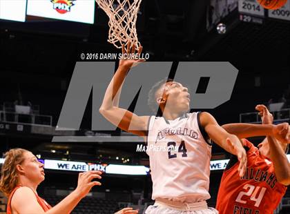 Thumbnail 1 in Apollo vs. Williams Field (Hoopin it up at the Arena) photogallery.