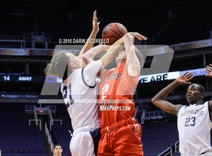 Thumbnail 1 in Apollo vs. Williams Field (Hoopin it up at the Arena) photogallery.