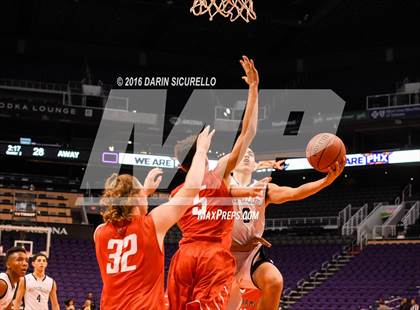 Thumbnail 1 in Apollo vs. Williams Field (Hoopin it up at the Arena) photogallery.