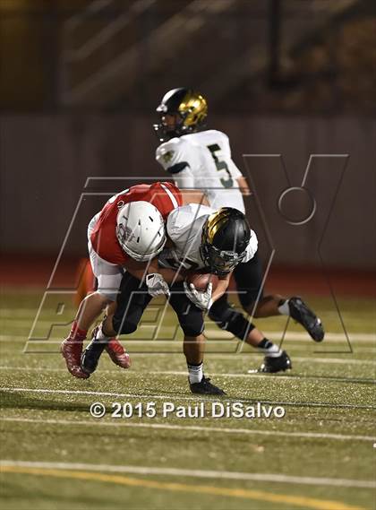 Thumbnail 3 in Mountain Vista @ Chaparral photogallery.