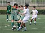 Photo from the gallery "El Toro vs. Edison (Hawks Invitational)"