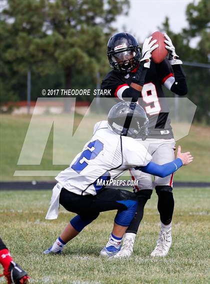 Thumbnail 3 in Grandview @ Eaglecrest photogallery.