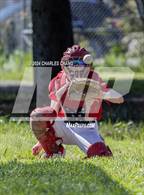 Photo from the gallery "Eureka @ Analy"