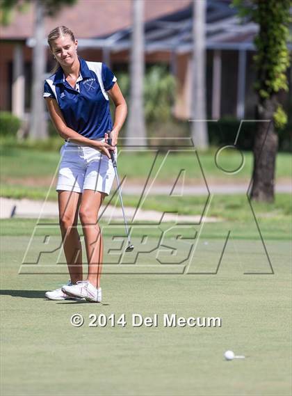 Thumbnail 1 in Durant vs. Newsome vs. Freedom photogallery.