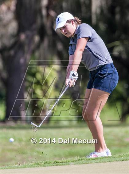Thumbnail 1 in Durant vs. Newsome vs. Freedom photogallery.