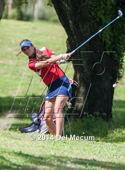Thumbnail 1 in Durant vs. Newsome vs. Freedom photogallery.