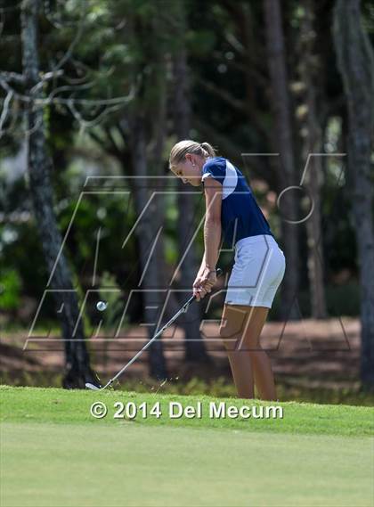 Thumbnail 1 in Durant vs. Newsome vs. Freedom photogallery.