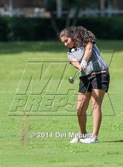 Thumbnail 3 in Durant vs. Newsome vs. Freedom photogallery.