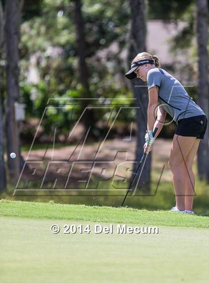 Thumbnail 1 in Durant vs. Newsome vs. Freedom photogallery.