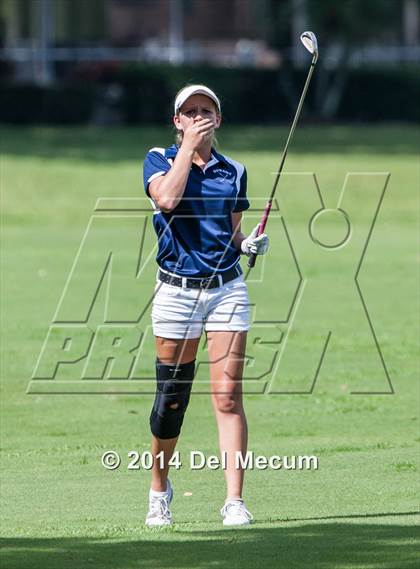 Thumbnail 2 in Durant vs. Newsome vs. Freedom photogallery.