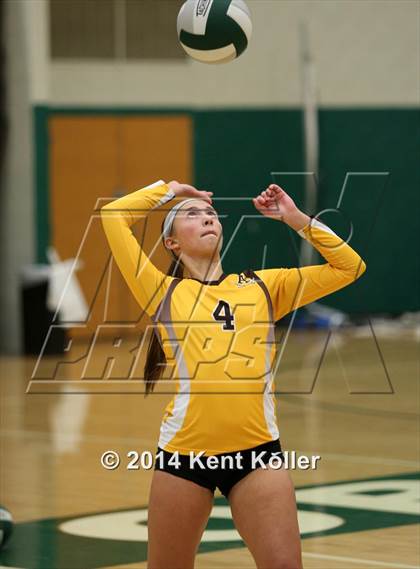 Thumbnail 3 in Adams vs. Stoney Creek photogallery.