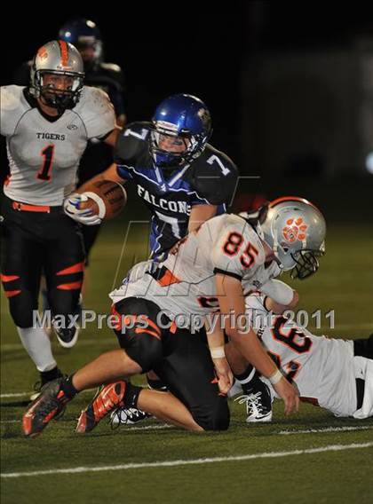 Thumbnail 2 in Grand Junction @ Highlands Ranch photogallery.