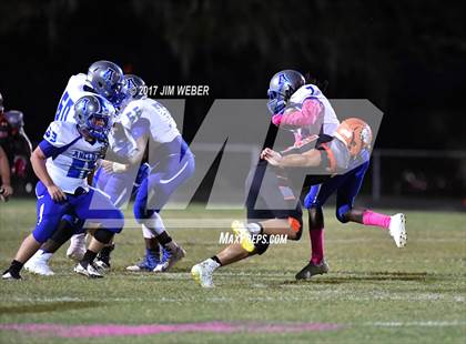 Thumbnail 1 in Anclote @ Zephyrhills photogallery.