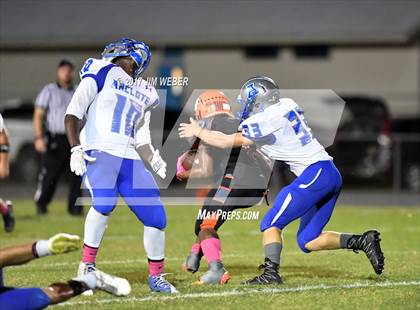 Thumbnail 2 in Anclote @ Zephyrhills photogallery.