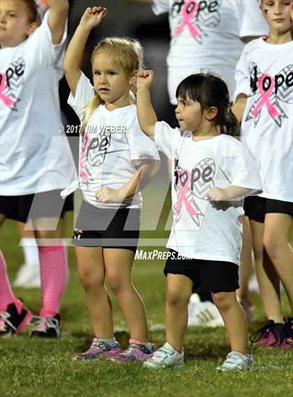 Thumbnail 3 in Anclote @ Zephyrhills photogallery.