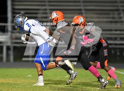 Thumbnail 2 in Anclote @ Zephyrhills photogallery.