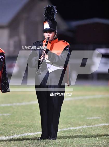 Thumbnail 3 in Anclote @ Zephyrhills photogallery.