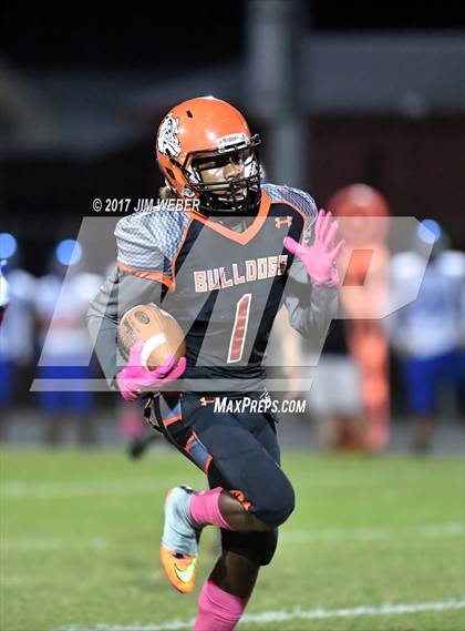 Thumbnail 1 in Anclote @ Zephyrhills photogallery.