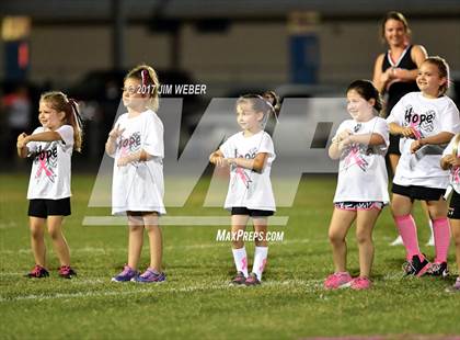 Thumbnail 3 in Anclote @ Zephyrhills photogallery.