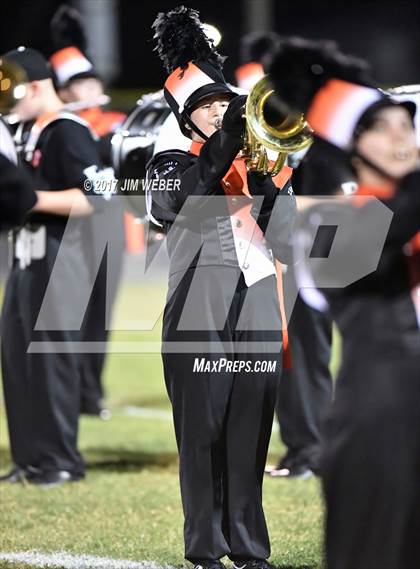 Thumbnail 3 in Anclote @ Zephyrhills photogallery.