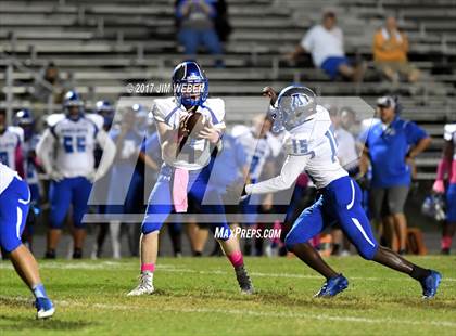 Thumbnail 1 in Anclote @ Zephyrhills photogallery.