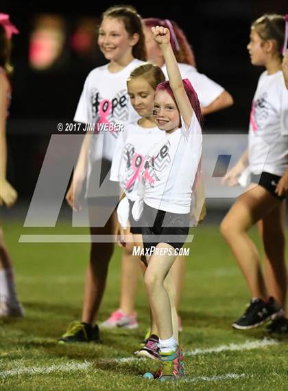 Thumbnail 3 in Anclote @ Zephyrhills photogallery.