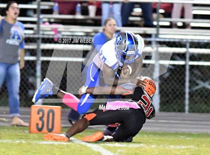 Thumbnail 3 in Anclote @ Zephyrhills photogallery.