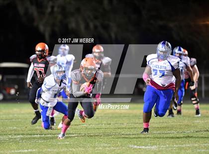 Thumbnail 1 in Anclote @ Zephyrhills photogallery.