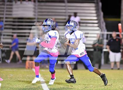 Thumbnail 1 in Anclote @ Zephyrhills photogallery.