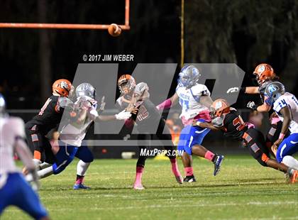 Thumbnail 3 in Anclote @ Zephyrhills photogallery.