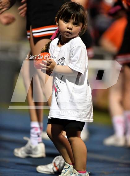 Thumbnail 1 in Anclote @ Zephyrhills photogallery.