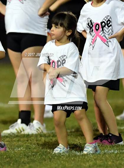 Thumbnail 1 in Anclote @ Zephyrhills photogallery.