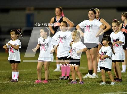 Thumbnail 2 in Anclote @ Zephyrhills photogallery.