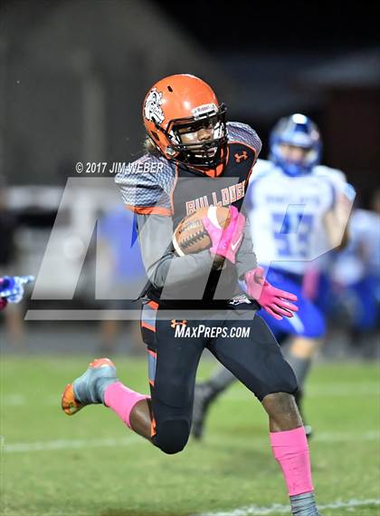 Thumbnail 3 in Anclote @ Zephyrhills photogallery.