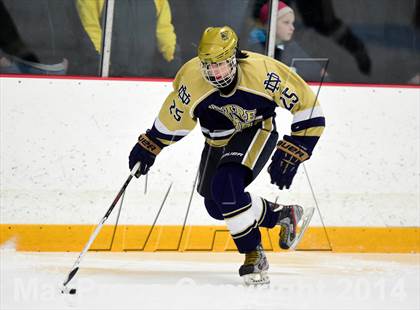 Thumbnail 2 in Notre Dame, WH vs. Notre Dame, Fairfield (SCC DI Final) photogallery.