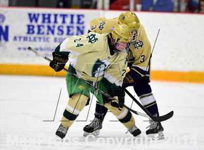 Thumbnail 1 in Notre Dame, WH vs. Notre Dame, Fairfield (SCC DI Final) photogallery.