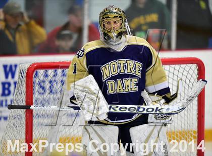 Thumbnail 2 in Notre Dame, WH vs. Notre Dame, Fairfield (SCC DI Final) photogallery.