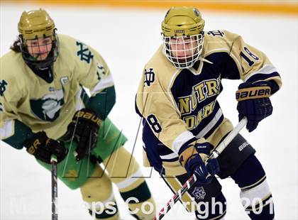 Thumbnail 2 in Notre Dame, WH vs. Notre Dame, Fairfield (SCC DI Final) photogallery.