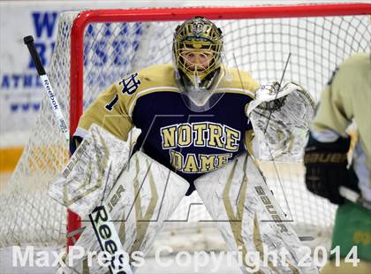 Thumbnail 2 in Notre Dame, WH vs. Notre Dame, Fairfield (SCC DI Final) photogallery.