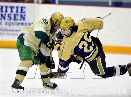 Thumbnail 1 in Notre Dame, WH vs. Notre Dame, Fairfield (SCC DI Final) photogallery.