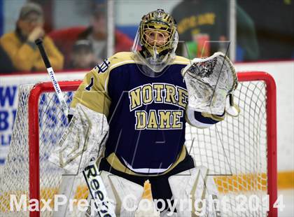 Thumbnail 1 in Notre Dame, WH vs. Notre Dame, Fairfield (SCC DI Final) photogallery.