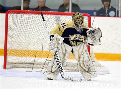 Thumbnail 2 in Notre Dame, WH vs. Notre Dame, Fairfield (SCC DI Final) photogallery.