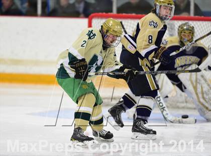 Thumbnail 2 in Notre Dame, WH vs. Notre Dame, Fairfield (SCC DI Final) photogallery.